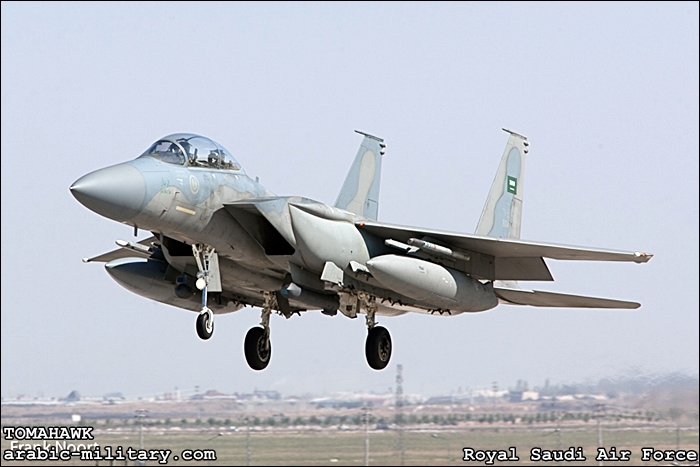 القوات الجوية الملكية السعودية F15 _ Royal Saudi Air Force 13184496059