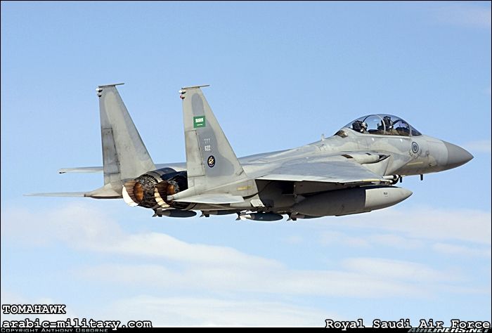 القوات الجوية الملكية السعودية F15 _ Royal Saudi Air Force 1347355