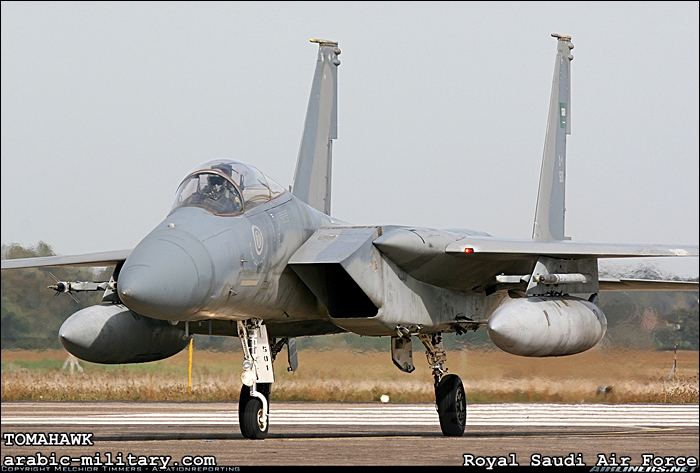 القوات الجوية الملكية السعودية F15 _ Royal Saudi Air Force 1598034