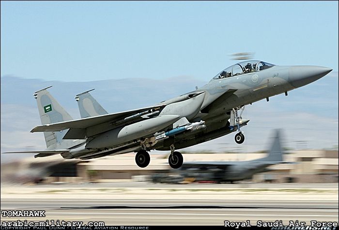 القوات الجوية الملكية السعودية F15 _ Royal Saudi Air Force 1769493