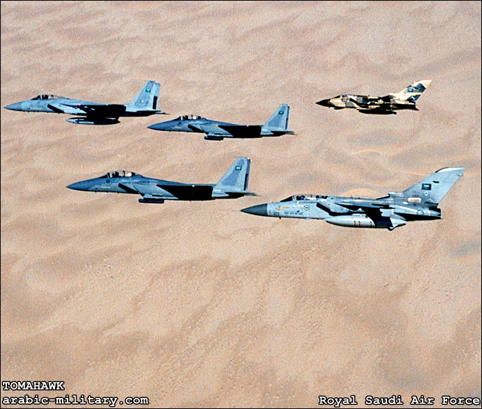 القوات الجوية الملكية السعودية F15 _ Royal Saudi Air Force 1dbd36e61b