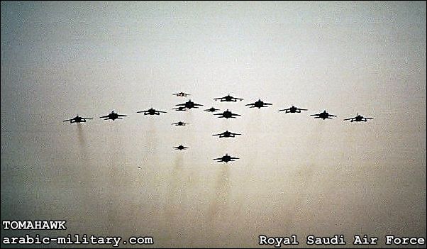 القوات الجوية الملكية السعودية F15 _ Royal Saudi Air Force 2166365010050081471S600x600Q85