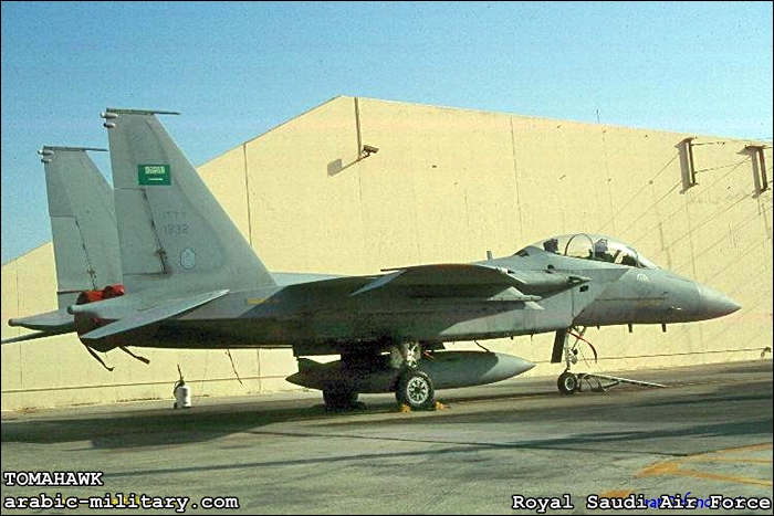 القوات الجوية الملكية السعودية F15 _ Royal Saudi Air Force 24853c9a045359in5