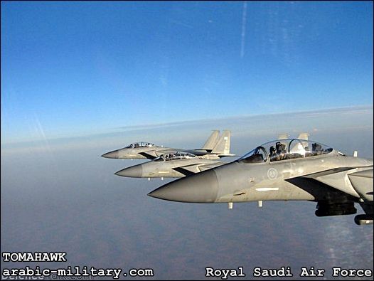 القوات الجوية الملكية السعودية F15 _ Royal Saudi Air Force 269392729