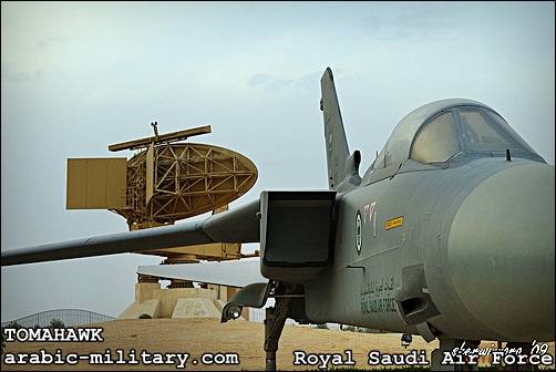 القوات الجوية الملكية السعودية F15 _ Royal Saudi Air Force 3620150421_cfe80e77d8