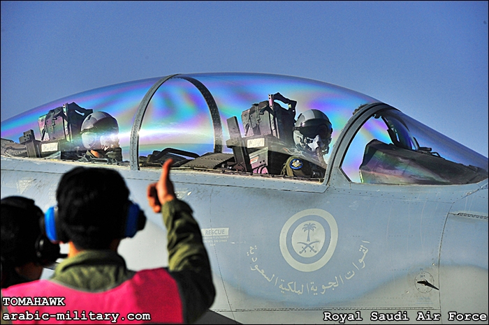 القوات الجوية الملكية السعودية F15 _ Royal Saudi Air Force 4611133315_cb73a024cb_o