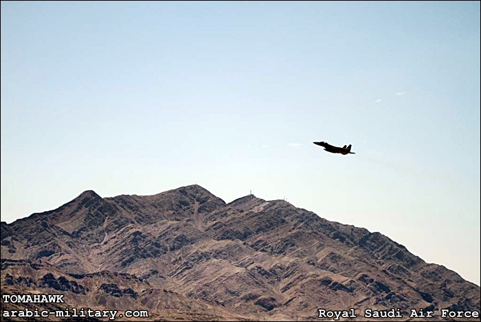 القوات الجوية الملكية السعودية F15 _ Royal Saudi Air Force 642644081