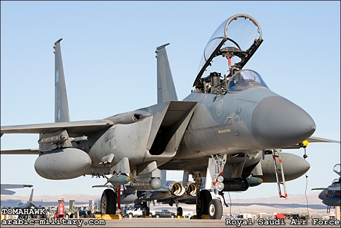 القوات الجوية الملكية السعودية F15 _ Royal Saudi Air Force DSC_9879s