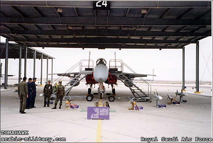 القوات الجوية الملكية السعودية F15 _ Royal Saudi Air Force F-15C20Weapons11