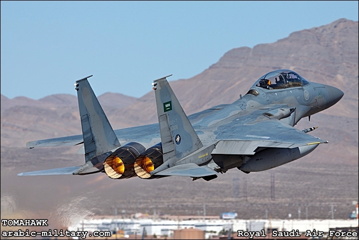 القوات الجوية الملكية السعودية F15 _ Royal Saudi Air Force _MG_2461