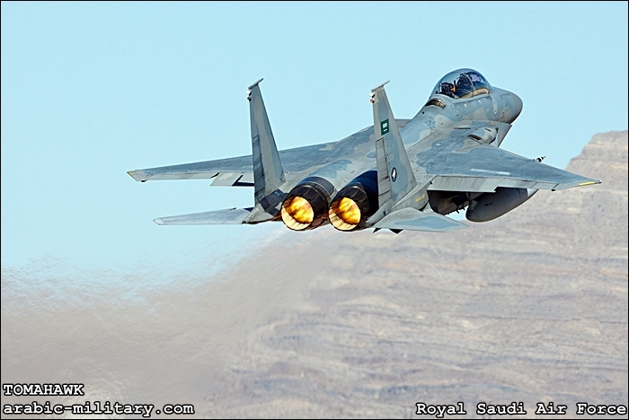 القوات الجوية الملكية السعودية F15 _ Royal Saudi Air Force _MG_2469