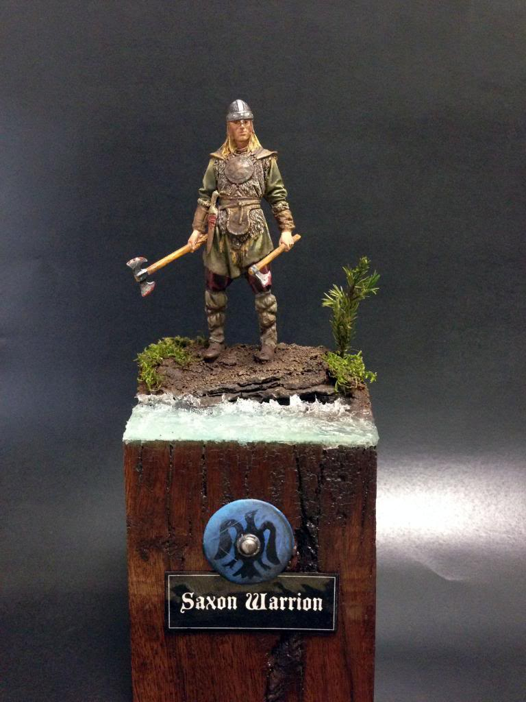 Saxon Warrior - 54 mm  (TERMINADO PG 16) - Página 7 09_zps85956639