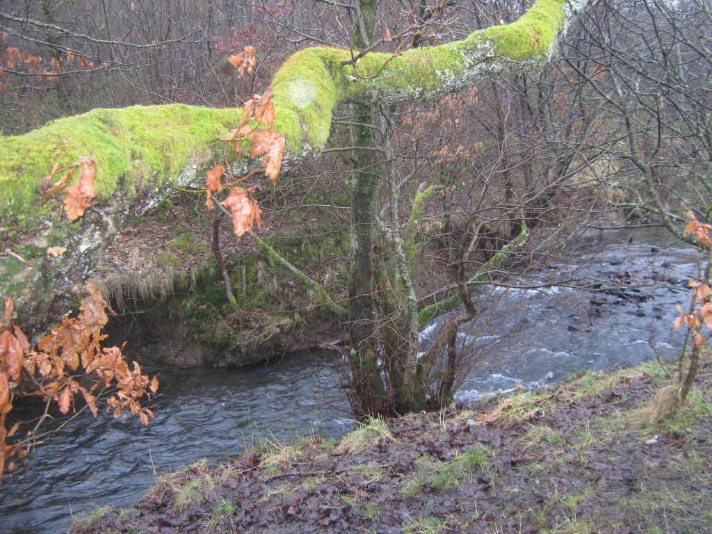 Suday walk at Dare Valley Park 035_zps85511356