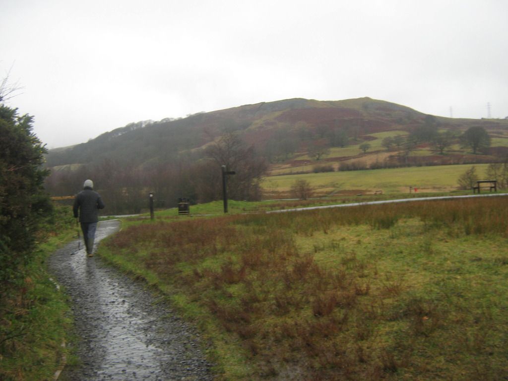 Suday walk at Dare Valley Park 036_zps47f9787a