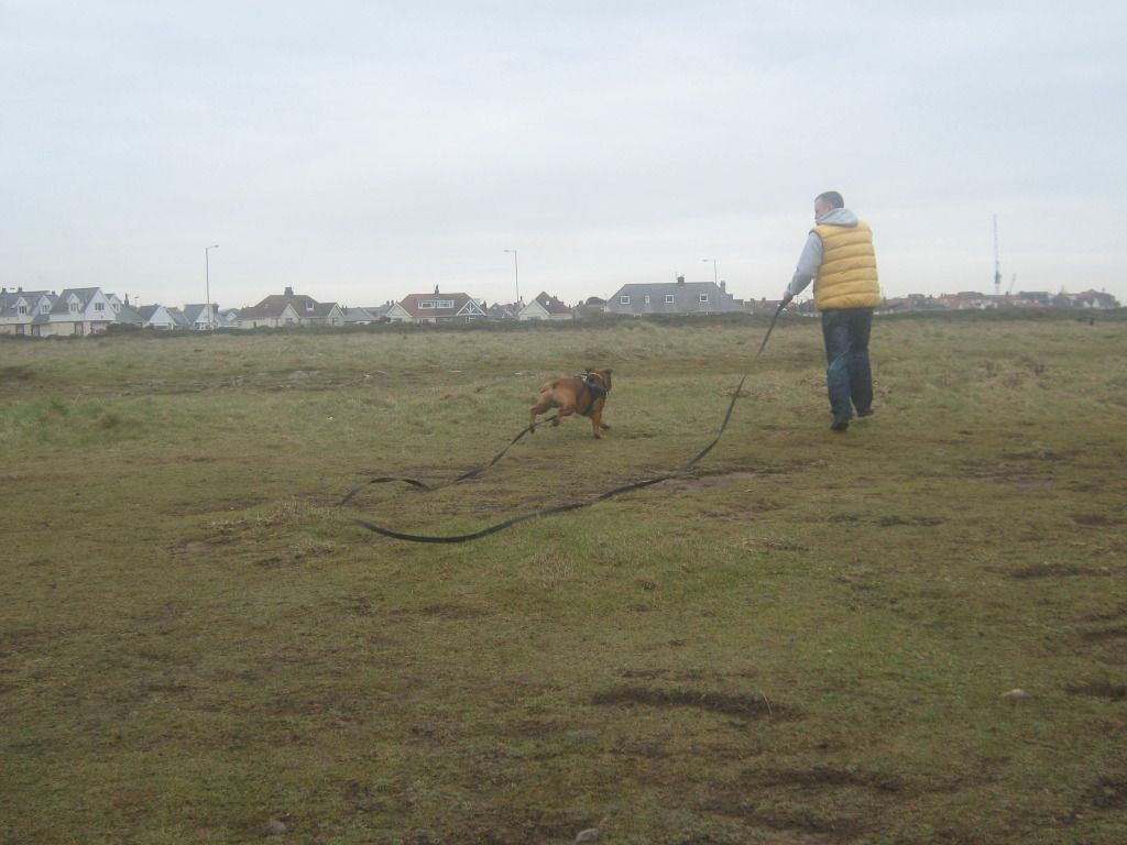 A few from Saturdays walk 16thfebatporthcawl013_zpscd368a9d