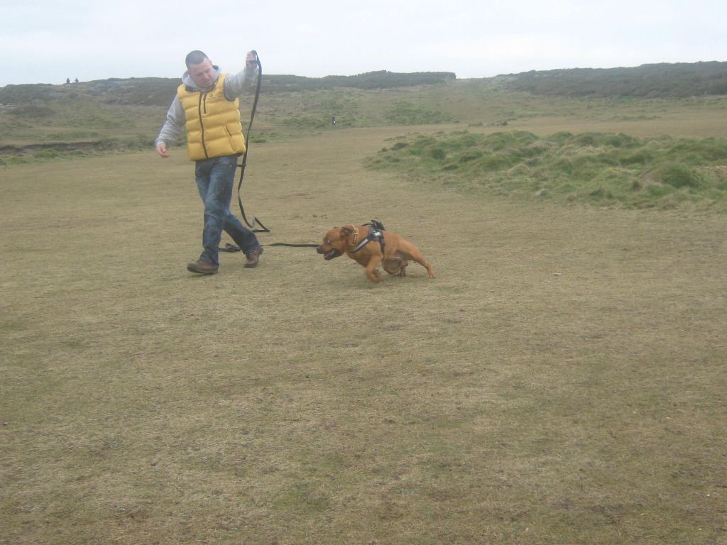 A few from Saturdays walk 16thfebatporthcawl018_zpsc892aa7d