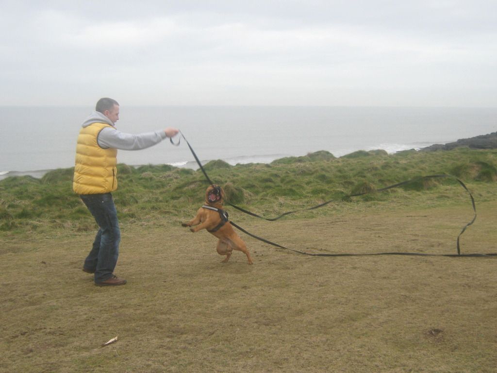 A few from Saturdays walk 16thfebatporthcawl021_zps7a170d4a