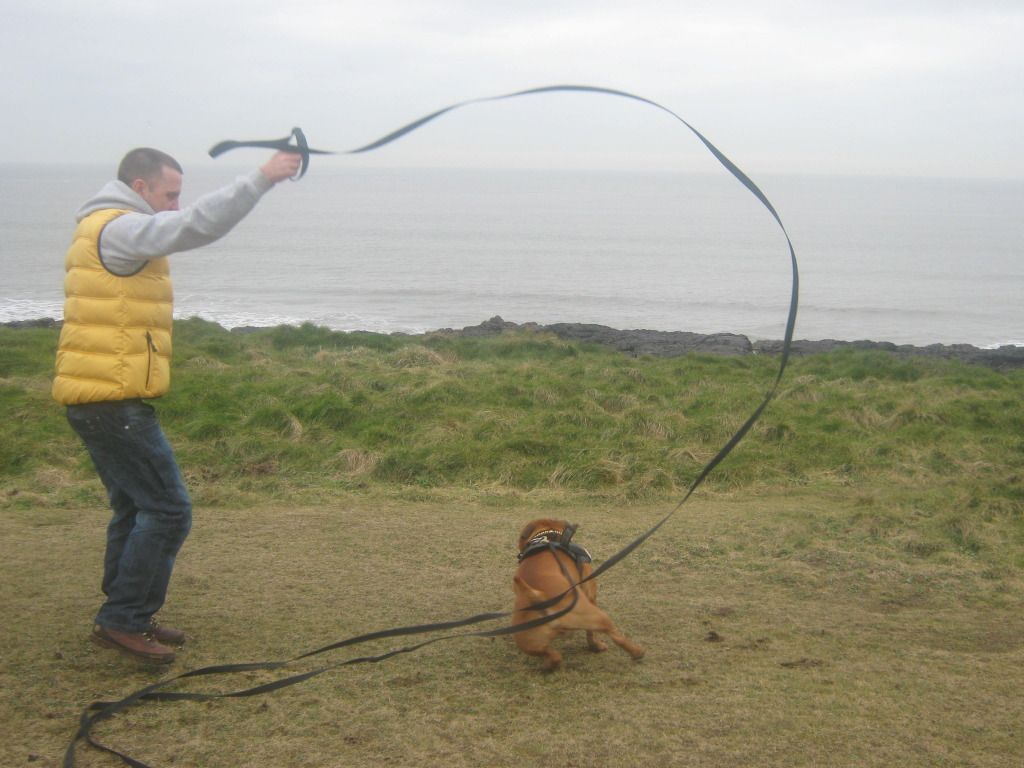 A few from Saturdays walk 16thfebatporthcawl022_zpsb2cf7ad3