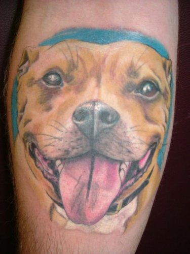 tattoos of your furbabys? Theresa-Gordon-Wade-Staffordshire-Bull-Terrier-Portraitjpg_500
