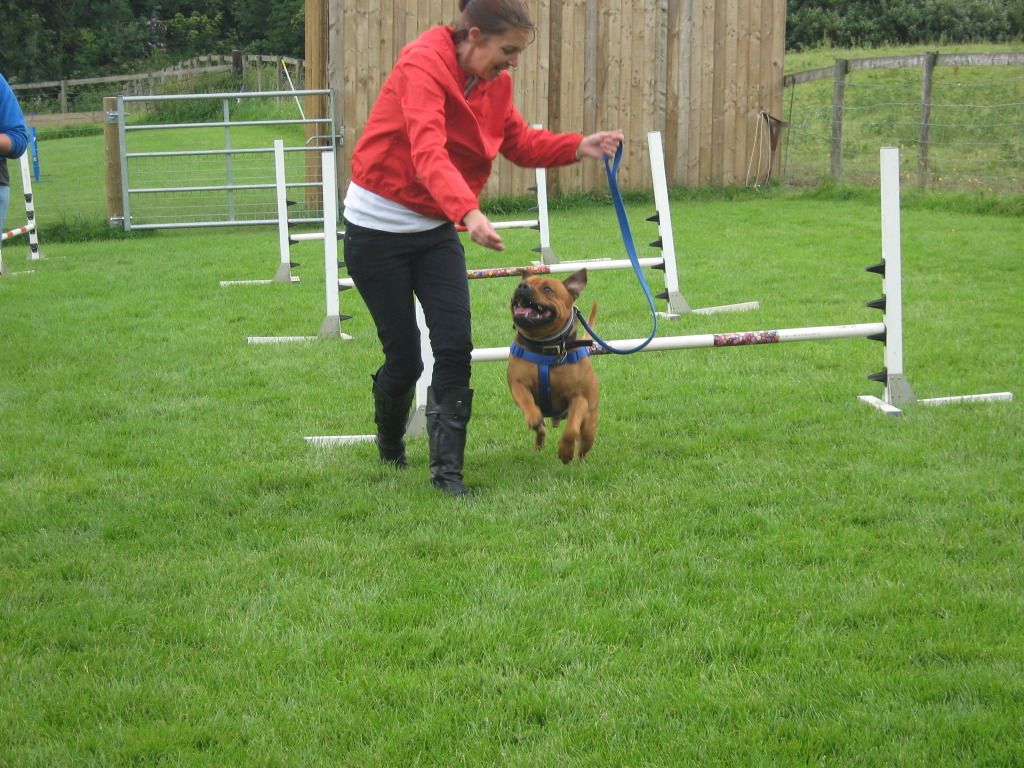 Agility Agility007