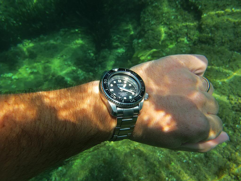 Feu de Seiko Marinemaster 300 ! - Page 4 IMG_6320_zpseef146e5