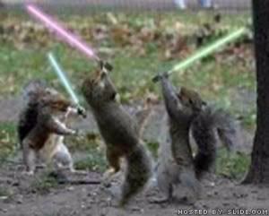 Bleach 156 StarWarSquirrels