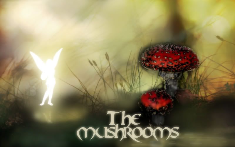 Mushrooms Fantasy -my first digital painting Mushrooms_1680x1050