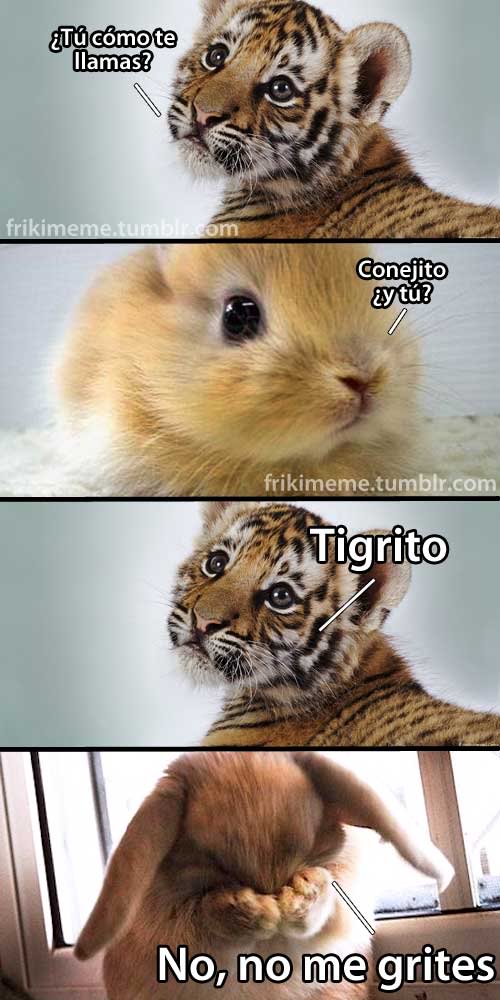  EN CLAVE DE HUMOR Tigrito