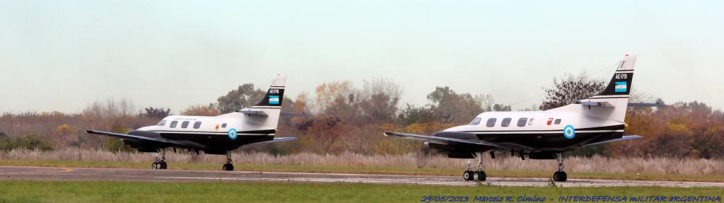 Conmemoración del 203º aniversario de la creación del Ejército Argentino TRIGALES2_zpsf514e15e