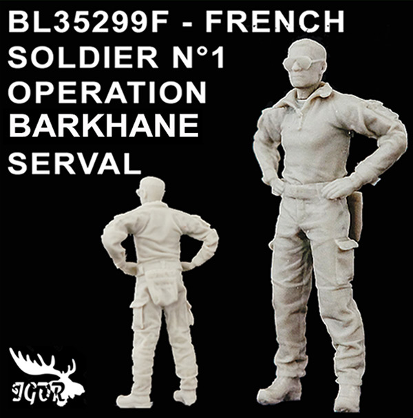 Et Blast Models dans tout ça? - Page 5 BLAST%20Ref%20BL35299F%20French%20soldier%20N1%20opration%20Barkhane_Serval_zpsflkq5km8