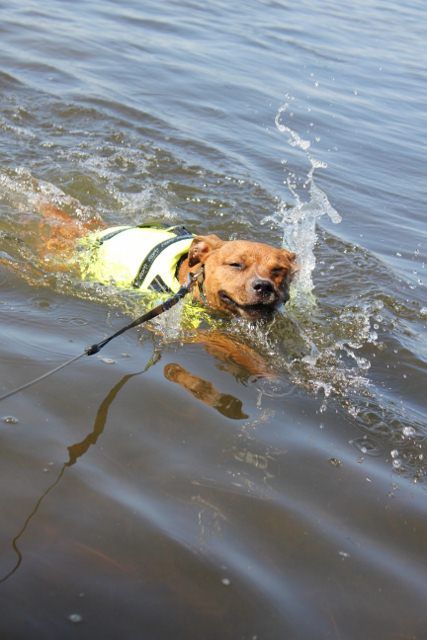 Swimming practice  IMG_8781427x640