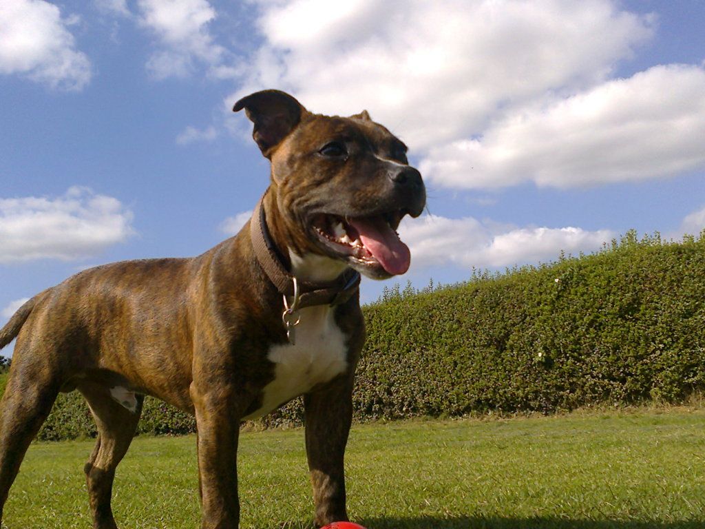 Walk on the fields. Photo0044