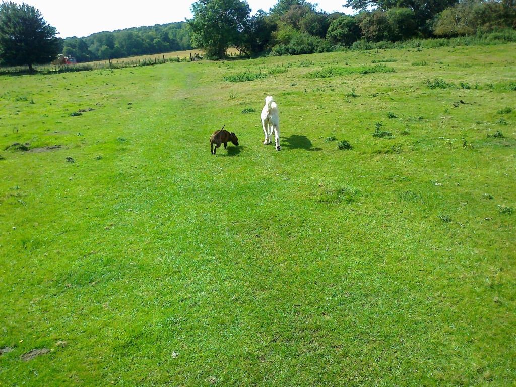 Walk on the fields. Photo0075