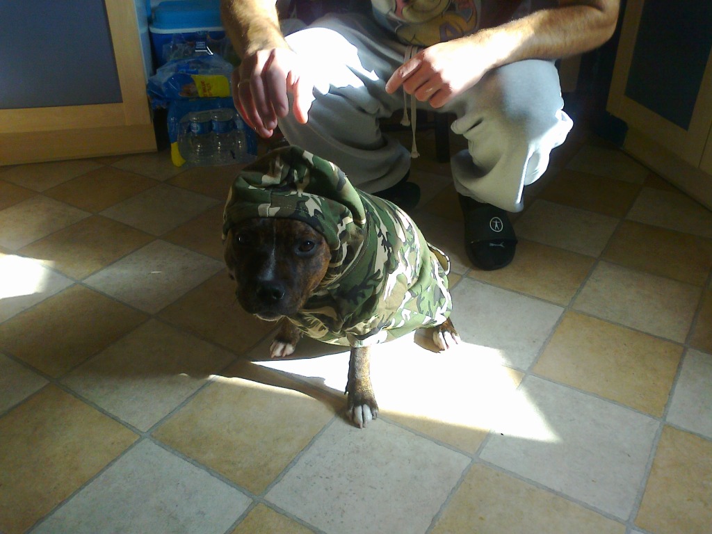 Debo's new hoodie. Photo0171