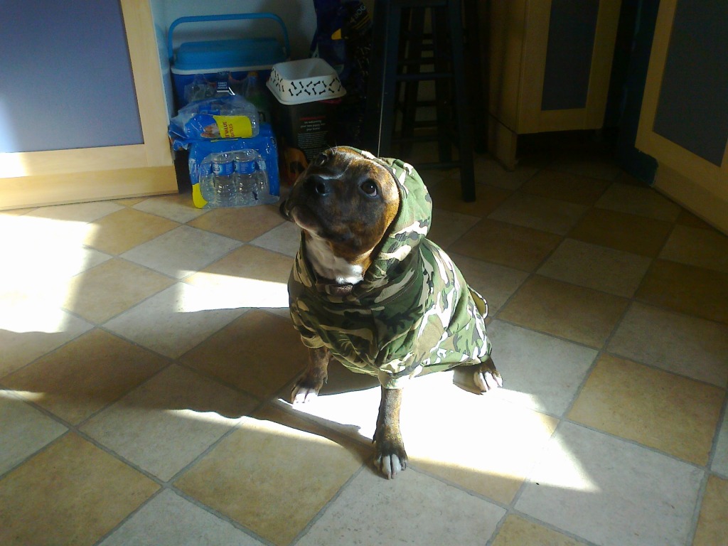 Debo's new hoodie. Photo0172