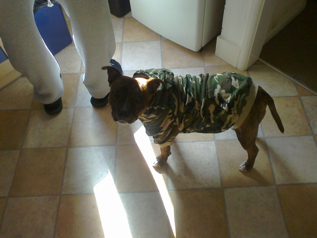 Debo's new hoodie. Photo0174