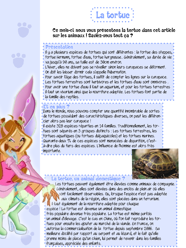 [N°6] Winx Forum Magazine Maquettetortue