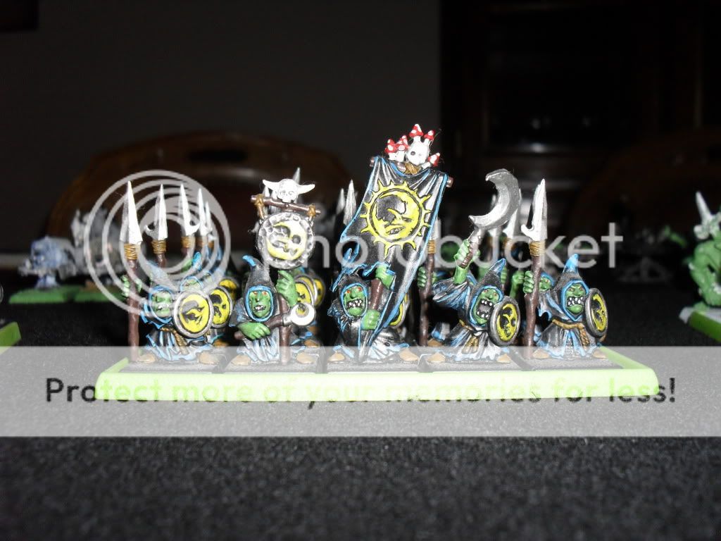 Vendo ou Troco Exercito de Orc&Goblins SAM_2137