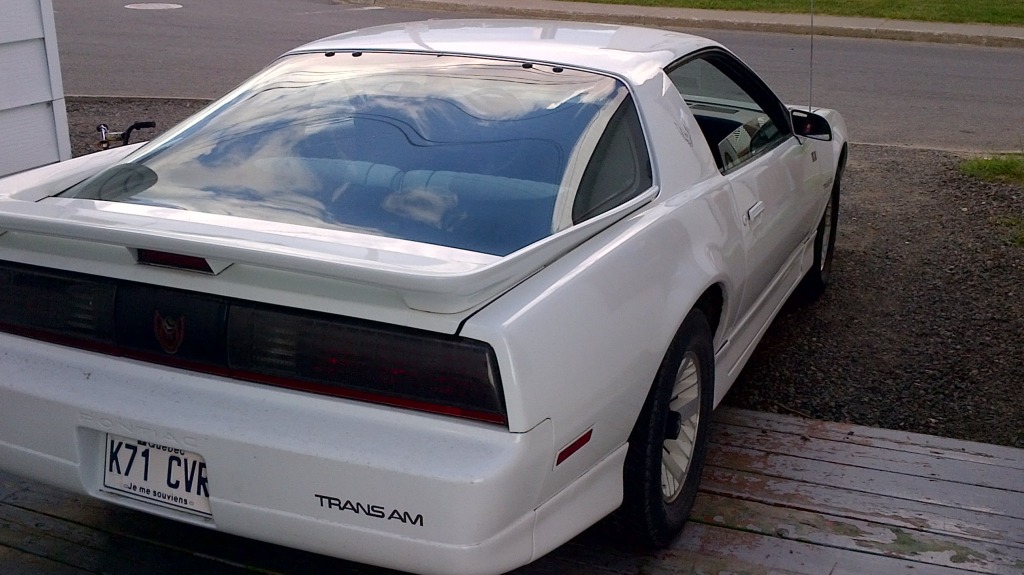 Ma premiere camaro 1981 IMG_00000191