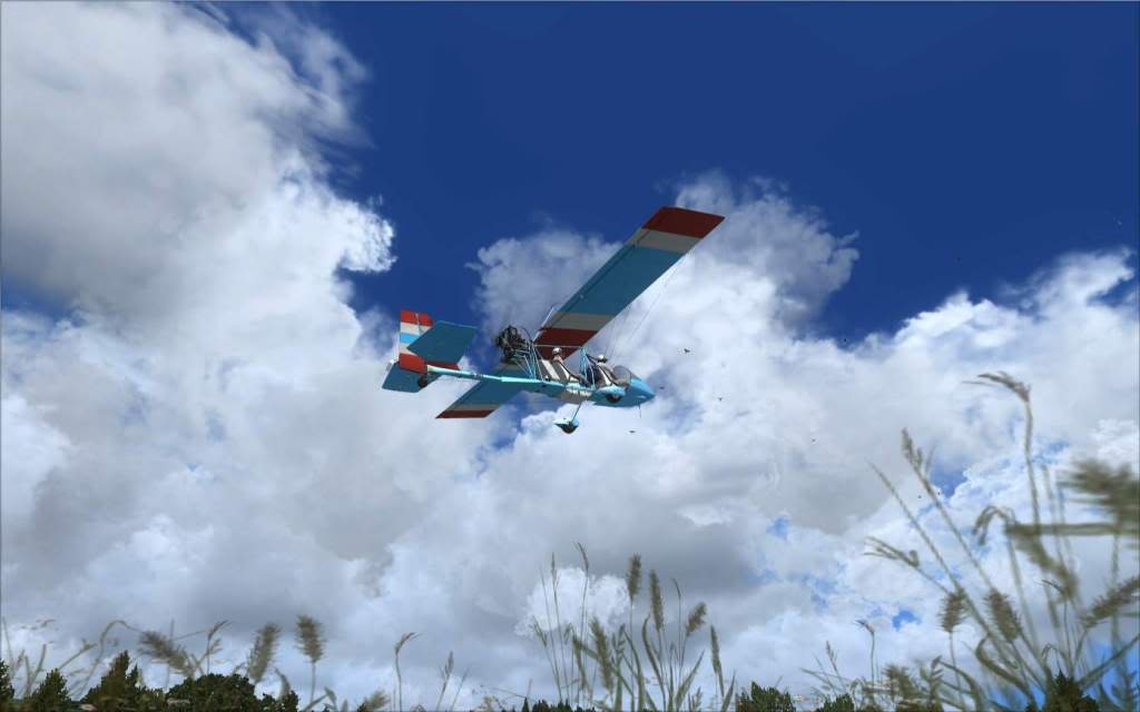 "FSX" Wa79 Walter Suttons - Wa7m MusaField -2012-may-1-006