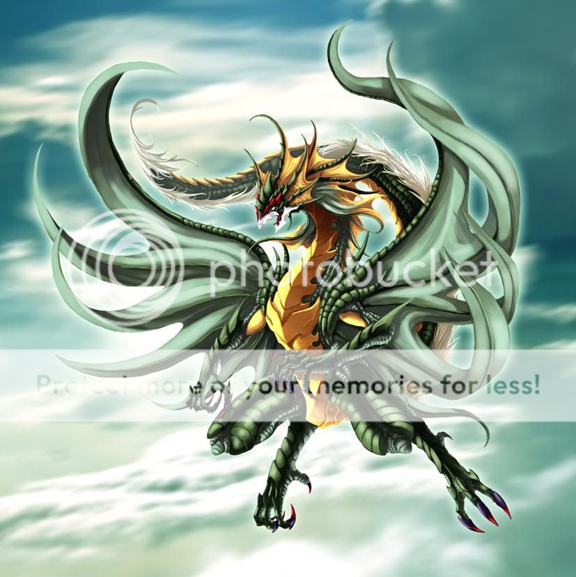 hom nay ai coa' chuc' vao` day nop don  Wind_Dragon__by_pamansaz76486