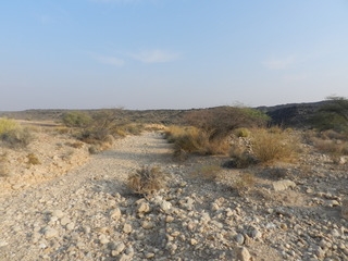 Oman 2016 - camping, off-roading and scorpions. DSCN5740_zpsba4i5wc8