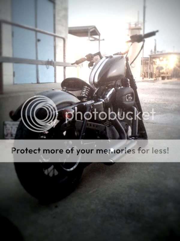 My Sportster Photo1