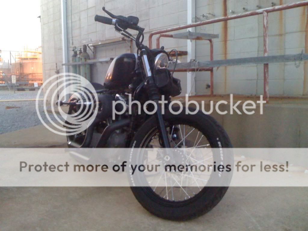 My Sportster Photo2