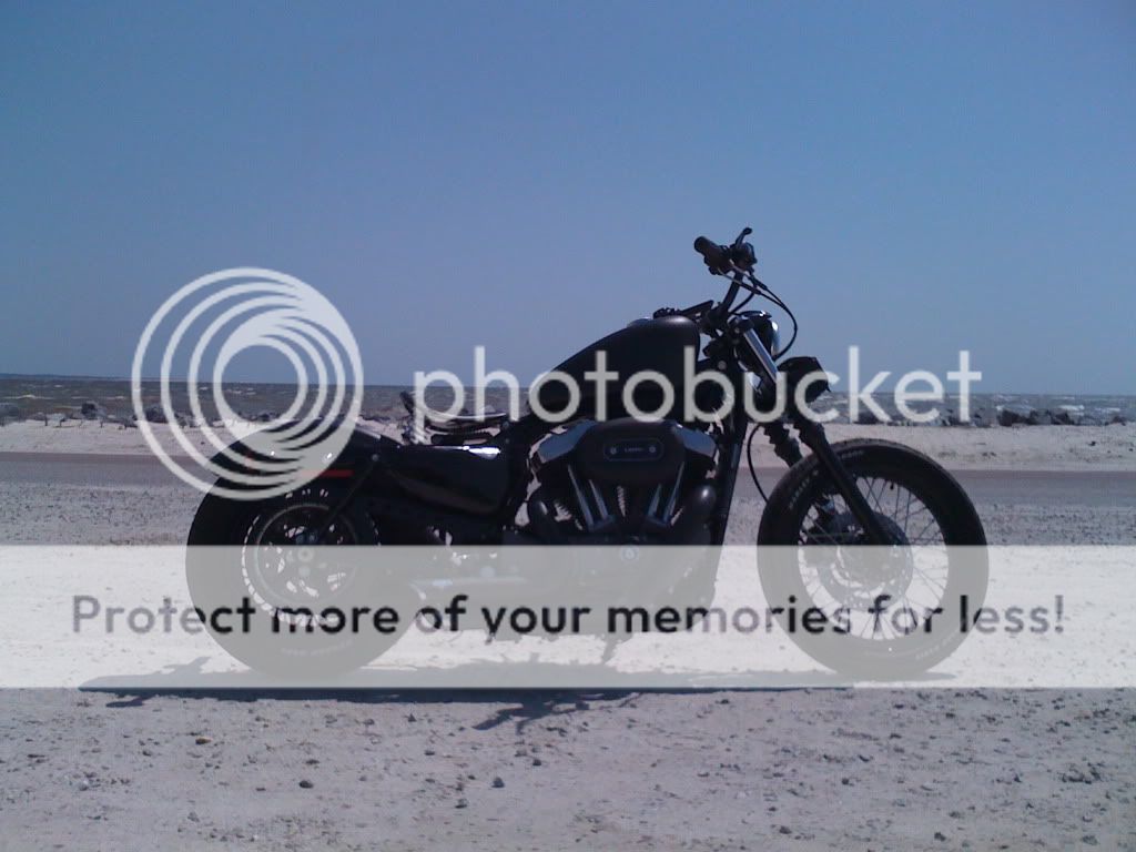 My Sportster Photo3