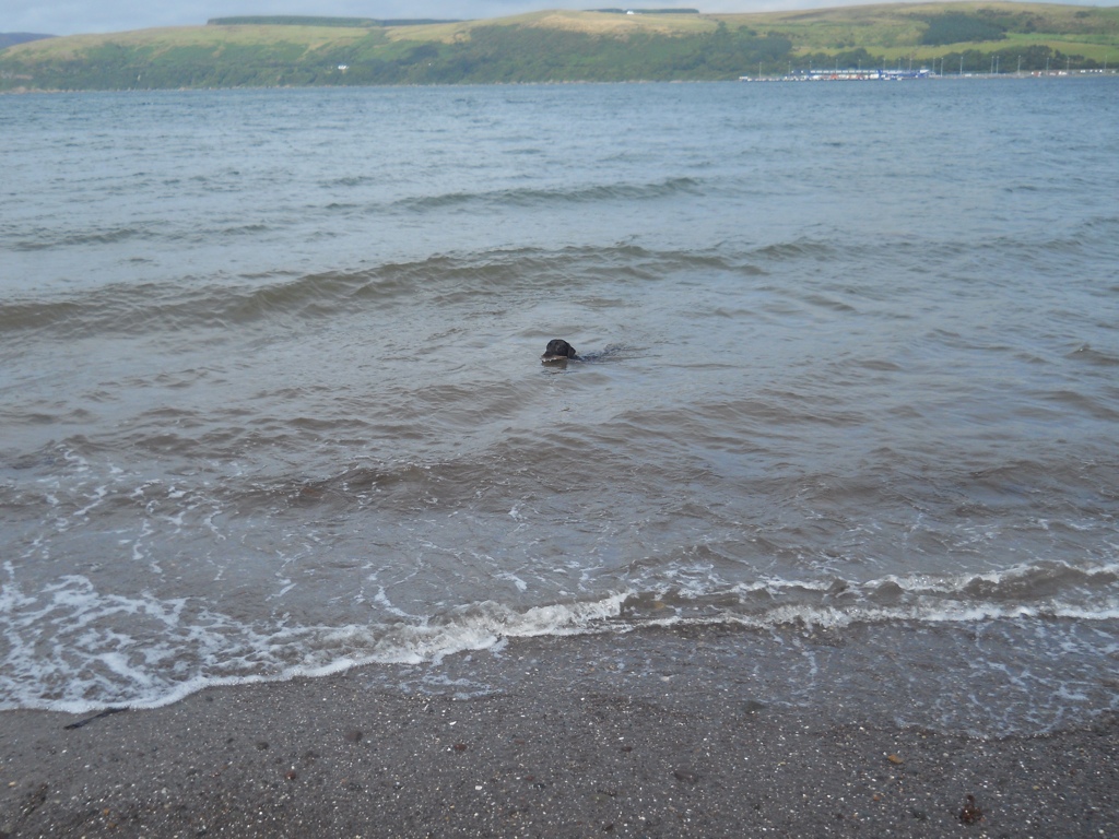 Stranraer 18/8/13 CE896870-E7E4-4303-A685-BA8C6FA3DF76-475-000000B911185A12_zpse3a8f520