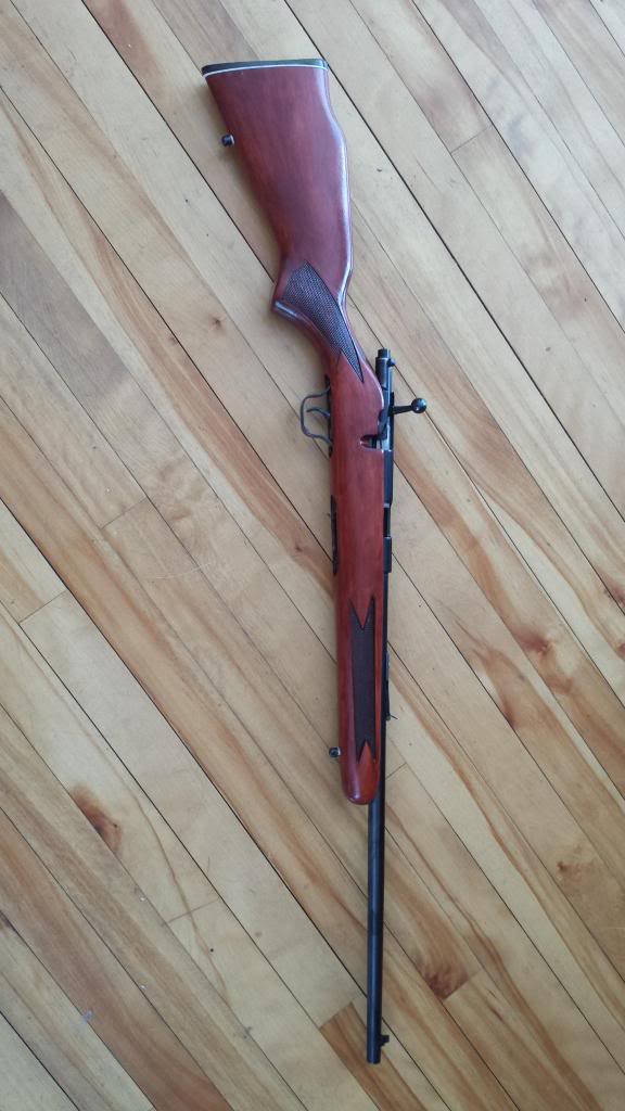 Modification bois de ma 22 LR - Lakefield Mark 2 09