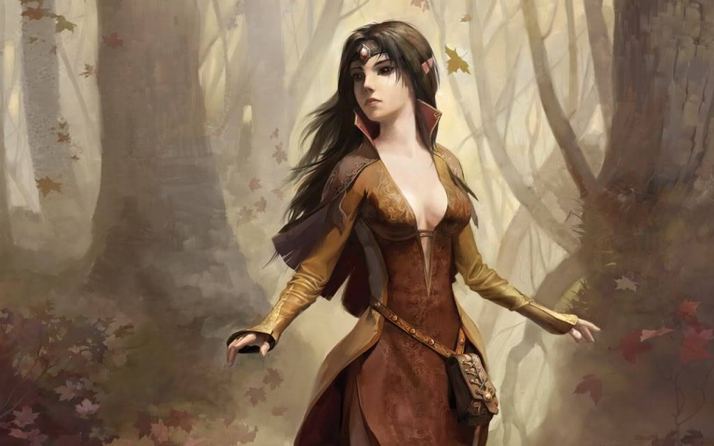 My second character 1236760844_1024x768_beautiful-forest-elf