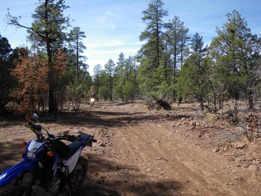 not much of an adventure.. but a day ride in central Az.. 0910cedarflats04e