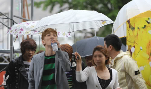 [6/5/2011][pics]SHINee tại Hope Charity của SBS Tumblr_lkrhkhy99A1qb5rxfo1_500